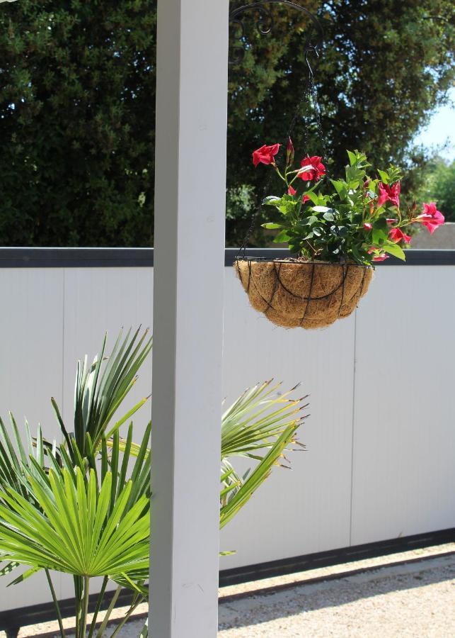 Oliven Garden Villa Rovinj Exteriör bild