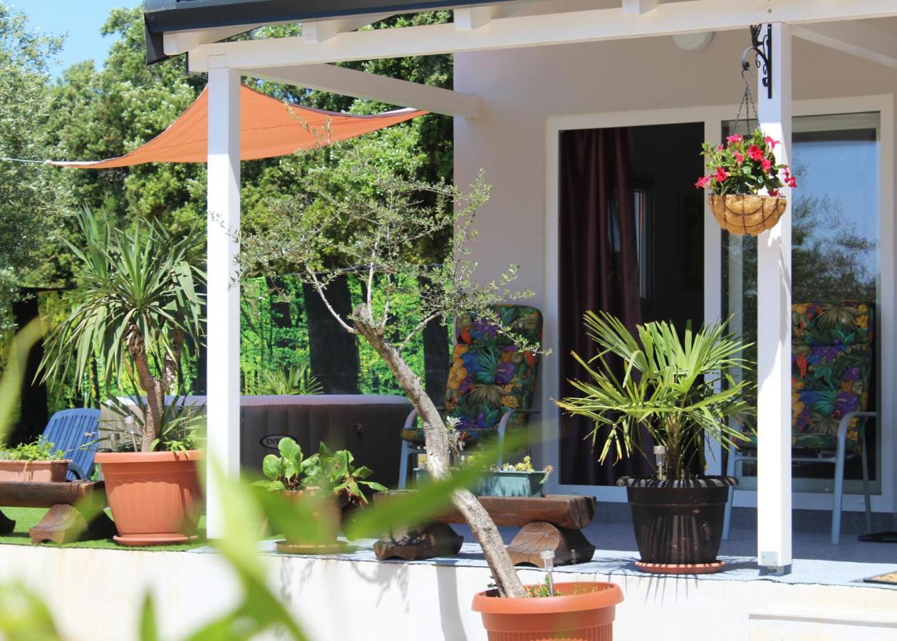 Oliven Garden Villa Rovinj Exteriör bild