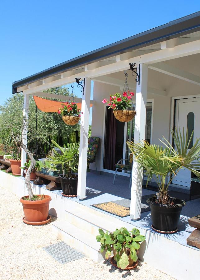 Oliven Garden Villa Rovinj Exteriör bild