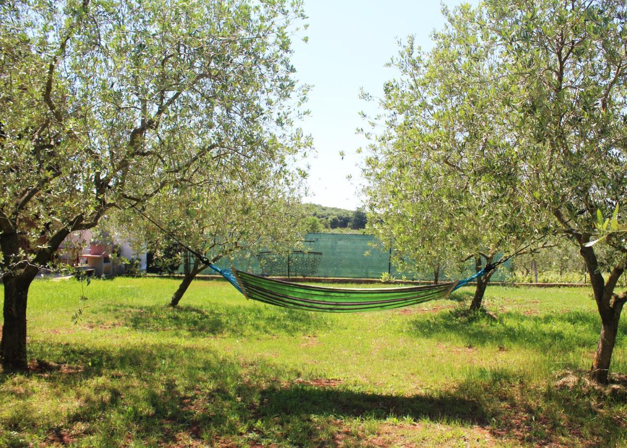 Oliven Garden Villa Rovinj Exteriör bild