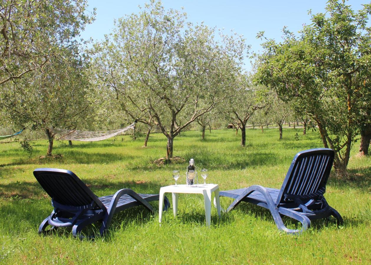 Oliven Garden Villa Rovinj Exteriör bild
