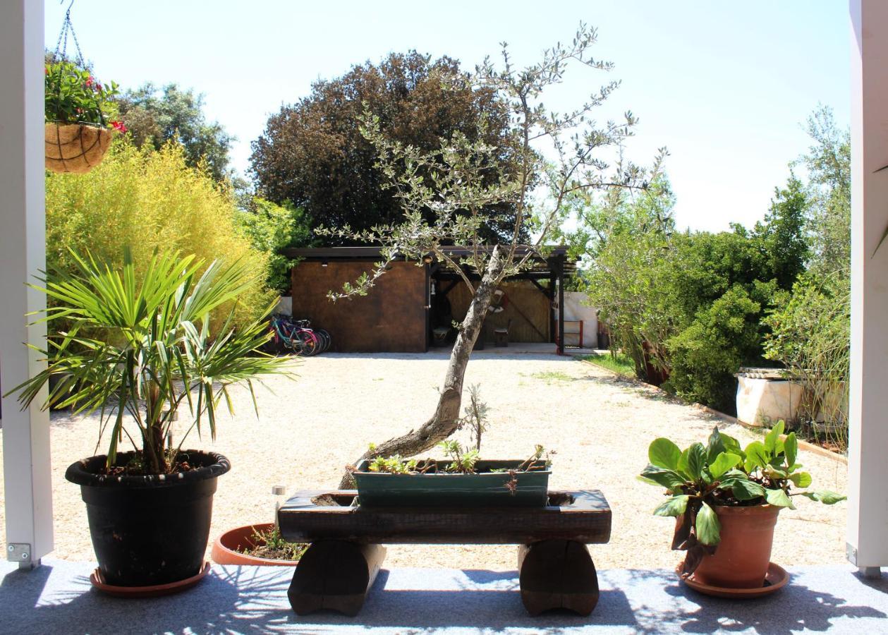Oliven Garden Villa Rovinj Exteriör bild