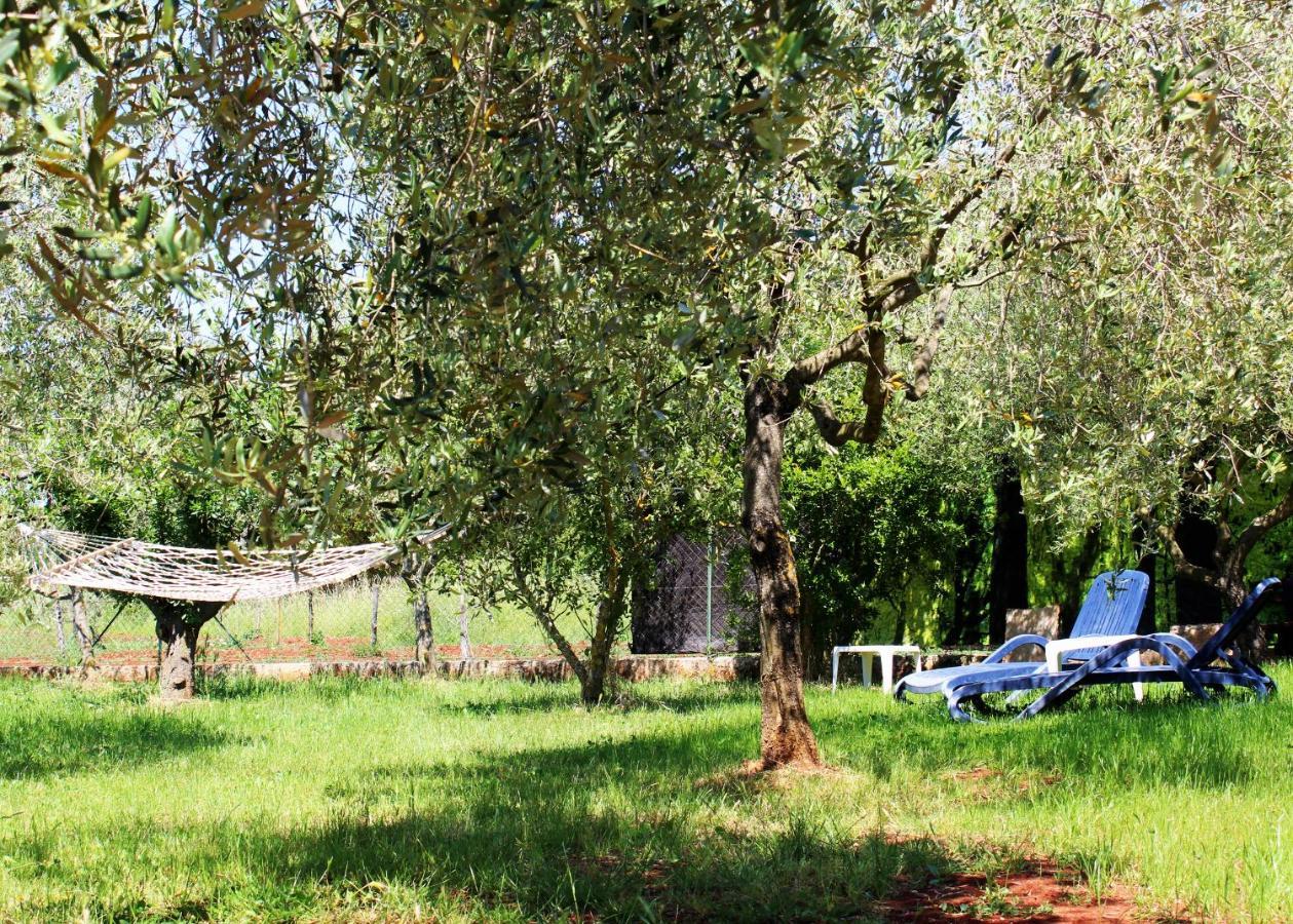 Oliven Garden Villa Rovinj Exteriör bild